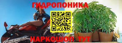 прущие крисы Владикавказ