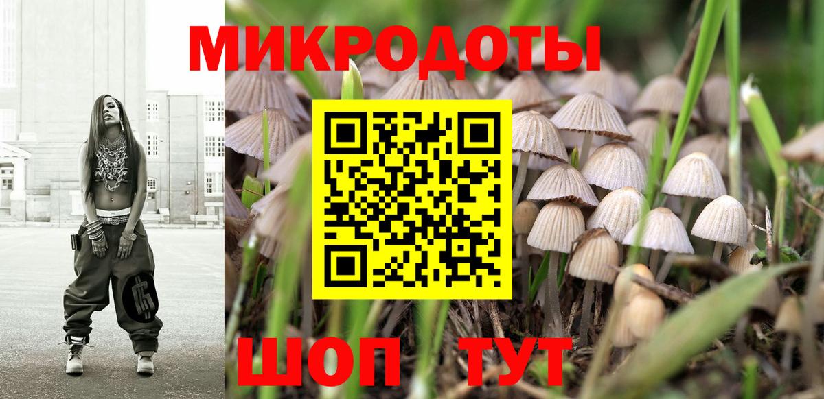 Галлюциногенные грибы Psilocybine cubensis Курган
