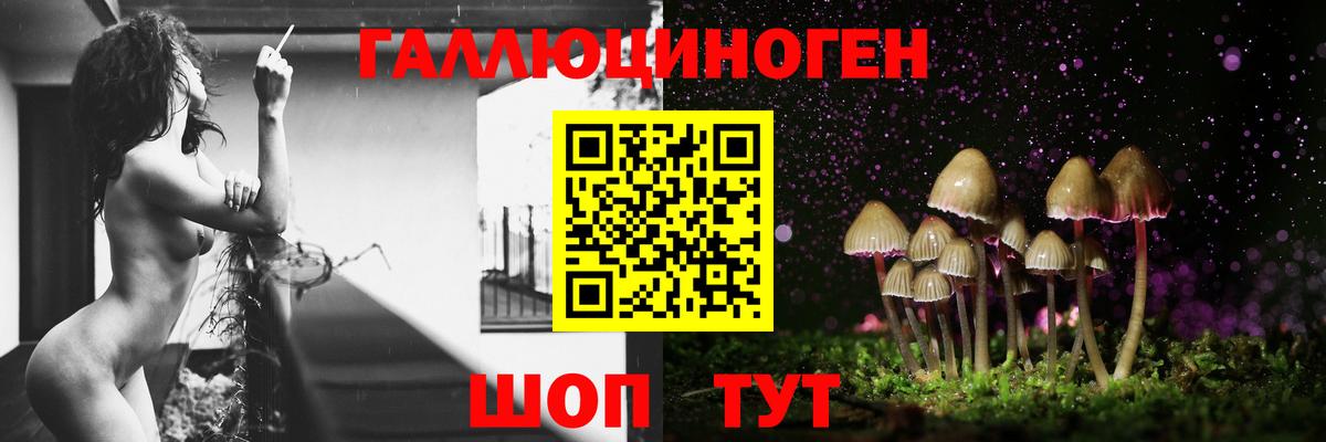 Курган  Псилоцибиновые грибы Magic Shrooms  Вход с VPN 